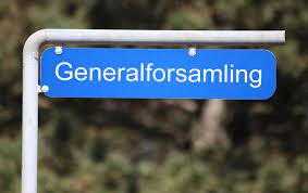 Generalforsamling 2021